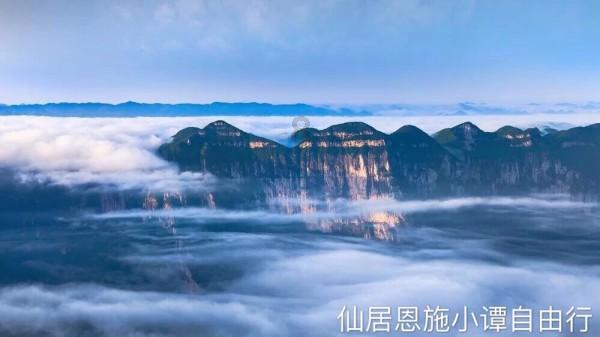 红色鹦鹉逃脱
